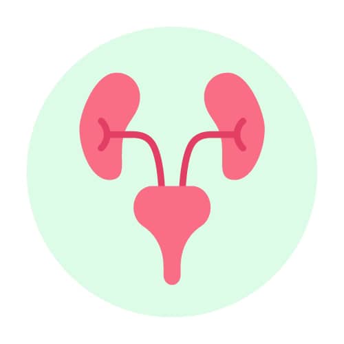 Urological Surgeon