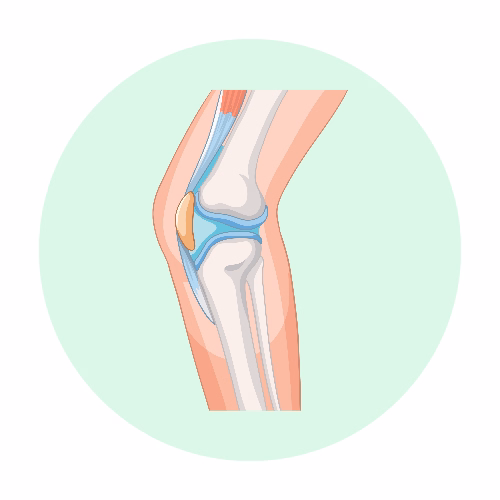 Joint Replacement Surgeon